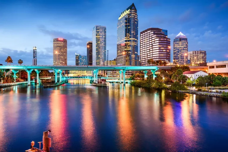 Read more about the article Best Happy Hours in Tampa Bay, FL 2022