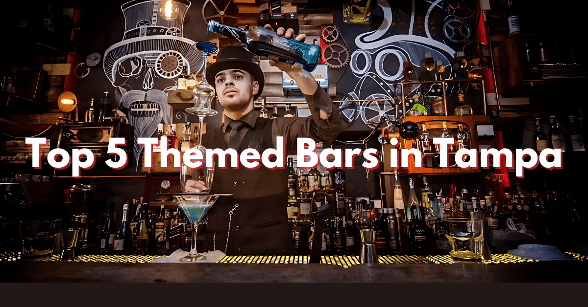 Read more about the article Top 5 Themed Bars in Tampa Bay You Can’t Miss