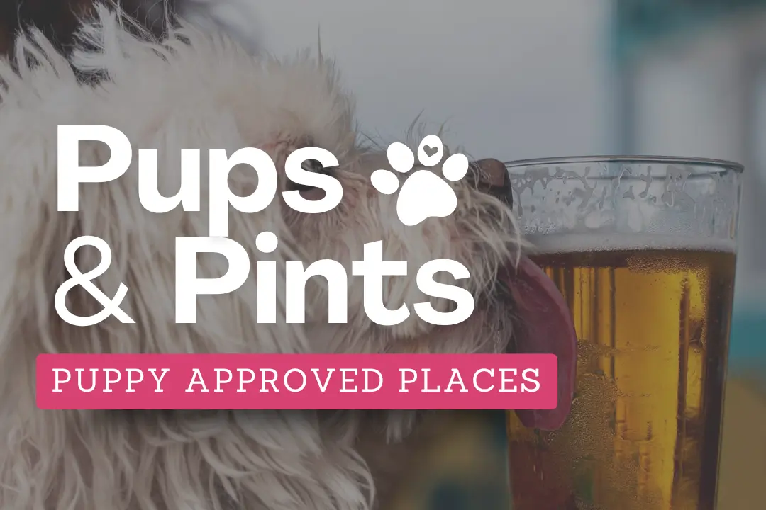 Dog friendly bar happy hour specials promotion 2026