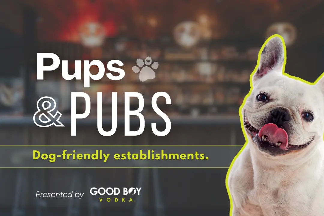 Good Boy Vodka Pups and Pubs bar promotion graphic